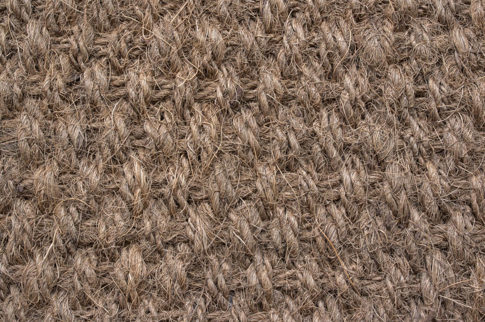 Coir Mat Image 3